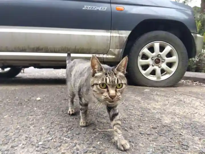 清泰寺(岐阜県)