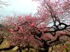 筑波山神社(茨城県)