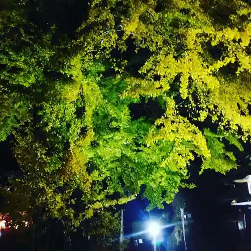 七所宮(熊本県)