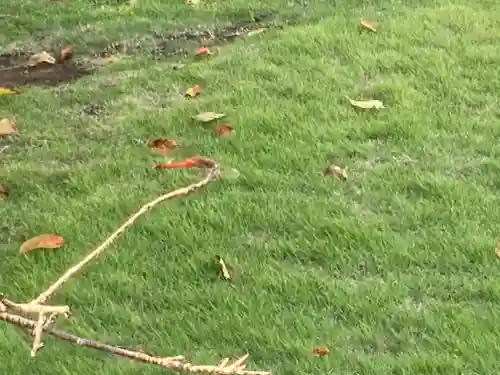 大船観音寺(神奈川県)