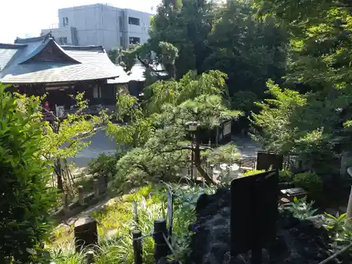 鳩森八幡神社の景色