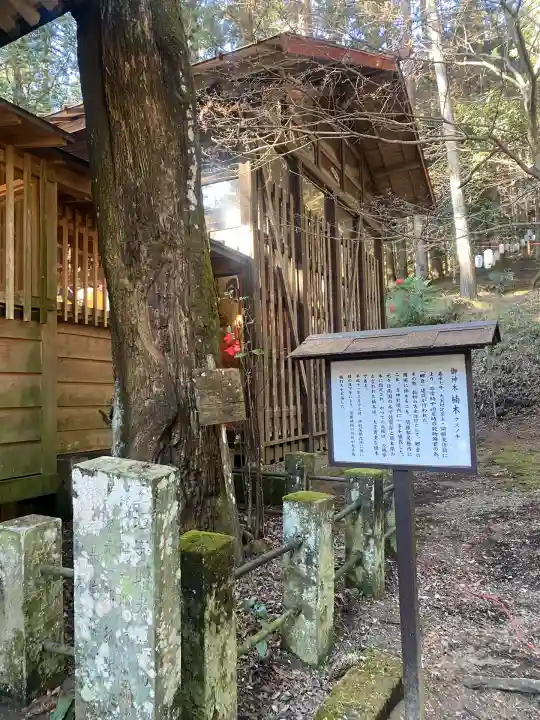 日光大室高龗神社(栃木県)