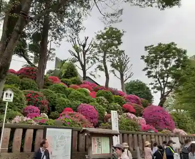 根津神社(東京都)