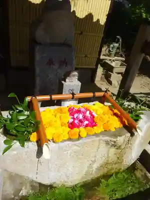 田間神社の手水舎