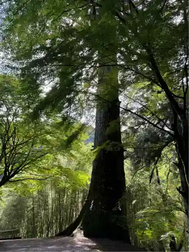 金櫻神社(山梨県)