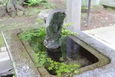 神炊館神社 ⁂奥州須賀川総鎮守⁂の手水舎