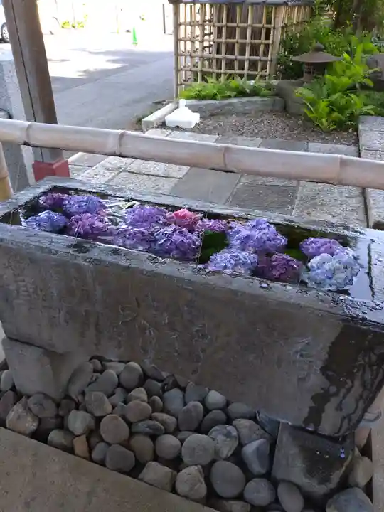 岩槻愛宕神社(埼玉県)