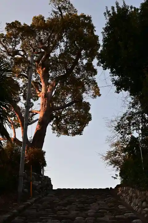 湯神社(愛媛県)