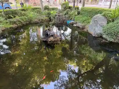 小室浅間神社の{uncategorized: "未分類", other: "その他", undefined: "問題あり", building: "その他建物", grave: "お墓", sacred_gate: "鳥居", guardian: "狛犬", statue: "像", buddha: "仏像", history: "歴史", nature: "自然", garden: "庭園", animal: "動物", pagoda: "塔", temizu: "手水舎", mountain_gate: "山門・神門", sanctuary: "本殿・本堂", subordinate: "末社・摂社", art: "芸術", scenery: "景色", jizo: "地蔵", ema: "絵馬", goshuin: "御朱印", omikuji: "おみくじ", items: "授与品その他", amulet: "お守り", goshuincho: "御朱印帳", eats: "食事", festival: "お祭り", votive_dance: "神楽", shichigosan: "七五三参", wedding: "結婚式", experience: "体験その他", initially: "初詣", around: "周辺", anti_infection: "感染症対策"}