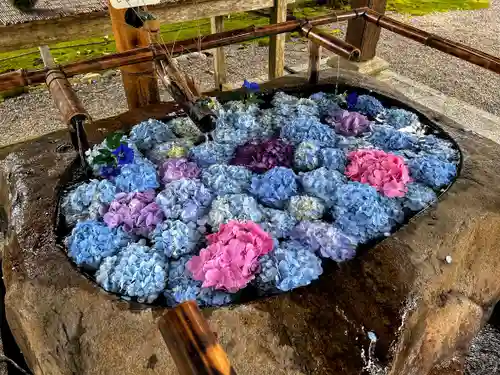 都農神社の手水