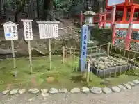 龍王珠石の{uncategorized: "未分類", other: "その他", undefined: "問題あり", building: "その他建物", grave: "お墓", sacred_gate: "鳥居", guardian: "狛犬", statue: "像", buddha: "仏像", history: "歴史", nature: "自然", garden: "庭園", animal: "動物", pagoda: "塔", temizu: "手水舎", mountain_gate: "山門・神門", sanctuary: "本殿・本堂", subordinate: "末社・摂社", art: "芸術", scenery: "景色", jizo: "地蔵", ema: "絵馬", goshuin: "御朱印", omikuji: "おみくじ", items: "授与品その他", amulet: "お守り", goshuincho: "御朱印帳", eats: "食事", festival: "お祭り", votive_dance: "神楽", shichigosan: "七五三参", wedding: "結婚式", experience: "体験その他", initially: "初詣", around: "周辺", anti_infection: "感染症対策"}