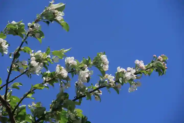 愛宕神社の周辺