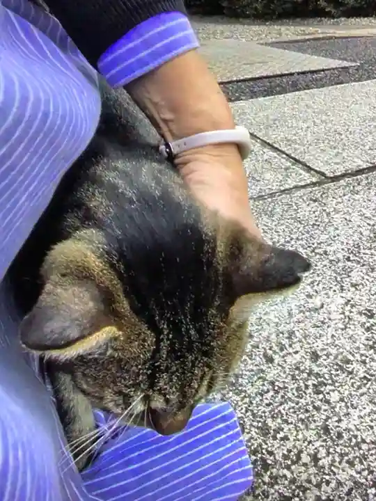 白金氷川神社(東京都)