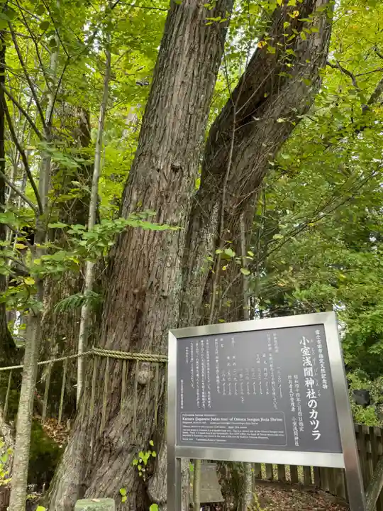 小室浅間神社(山梨県)