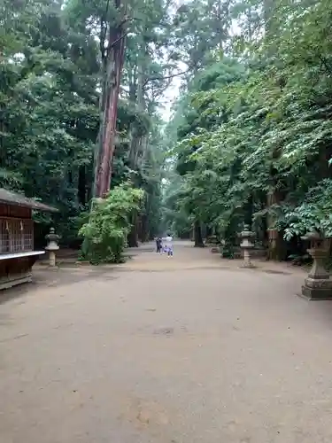 鹿島神宮の自然