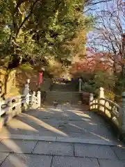 唐澤山神社の建物その他