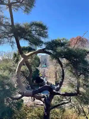 清水観音堂(東京都)