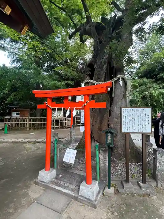 新田神社(東京都)