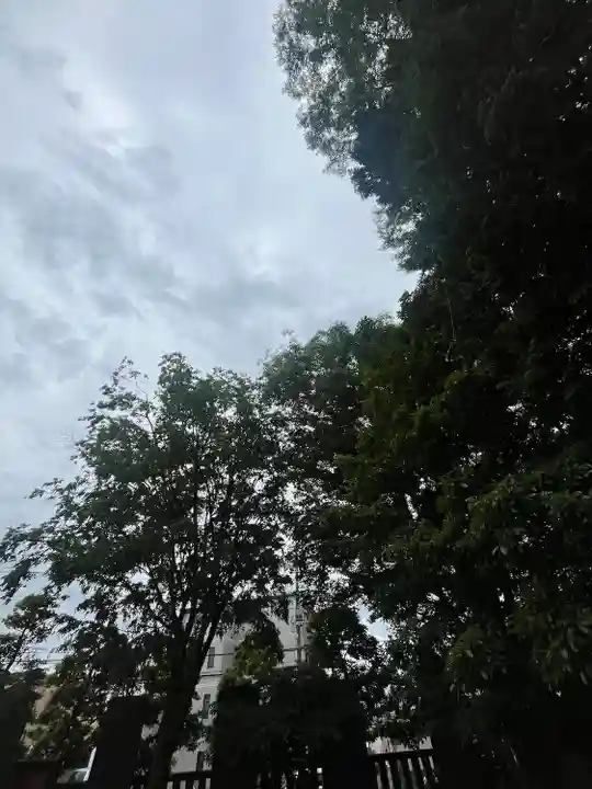 阿豆佐味天神社 立川水天宮(東京都)