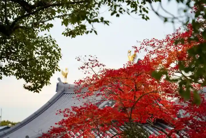 平等院(京都府)