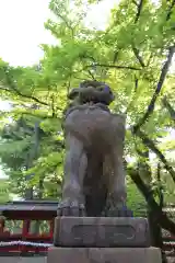 根津神社の狛犬