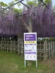 玉敷神社(埼玉県)