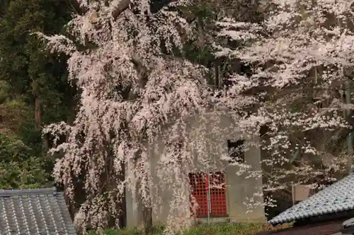 田村神社の景色