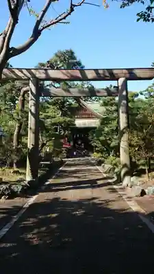新潟大神宮の鳥居