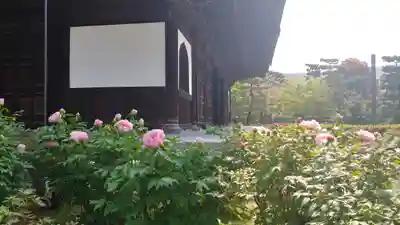 建仁寺(建仁禅寺)の本殿・本堂