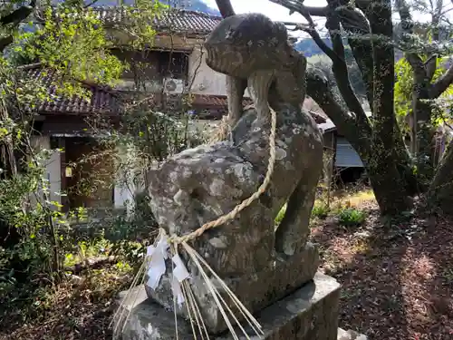 坂本八幡神社の狛犬