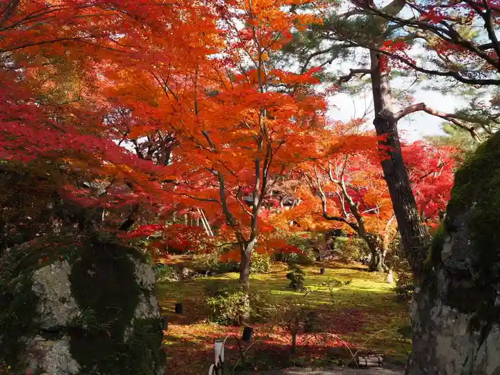 宝厳院(京都府)