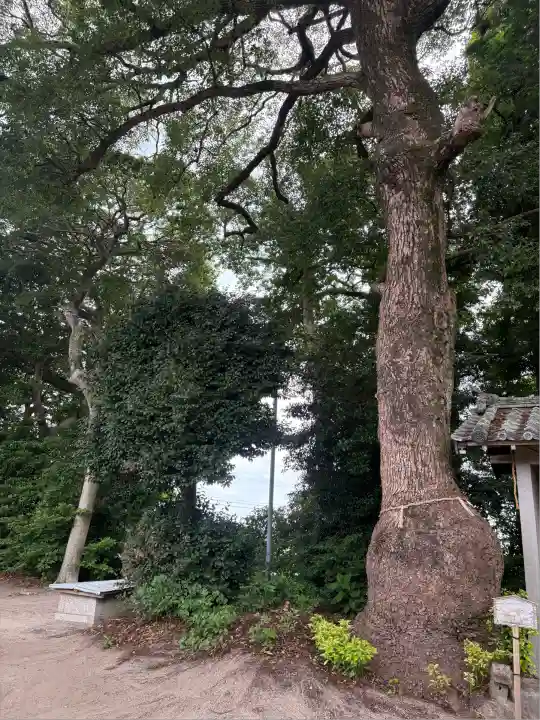 篠田神社(愛知県)