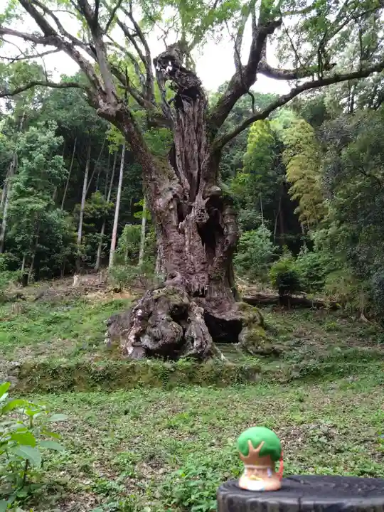 武雄神社(佐賀県)
