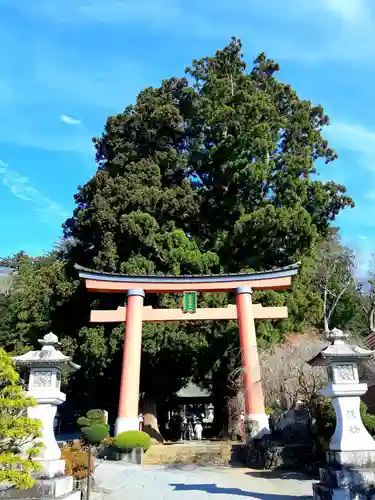 河口浅間神社の鳥居