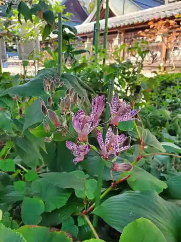 沙沙貴神社(滋賀県)