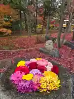 勝林寺(京都府)