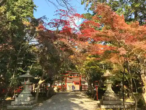 大原野神社の景色