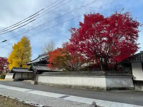 本誓寺(東本誓寺)(滋賀県)