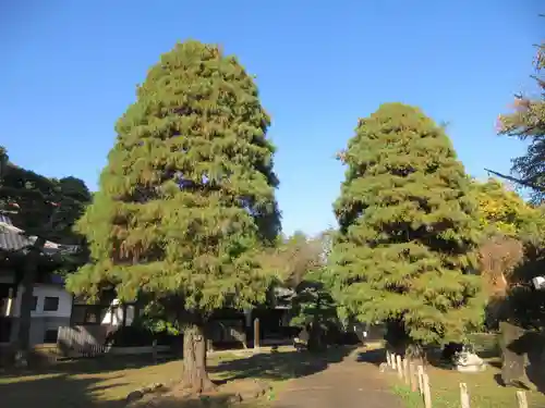 南蔵院(東京都)