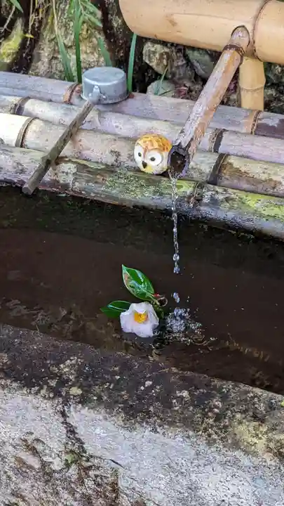 神藏寺(京都府)
