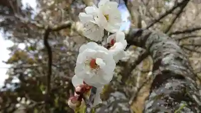 櫃蔵神社(兵庫県)