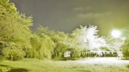 平野神社のその他建物