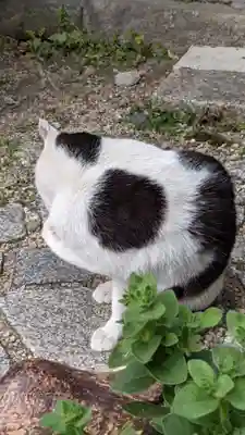 福住寺(愛知県)