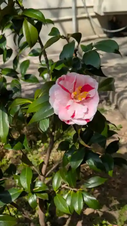 宝蔵寺(京都府)