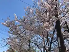 八雲神社の自然