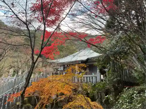 大聖院(広島県)