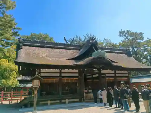 住吉大社(大阪府)