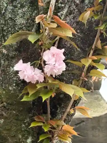長専院不動寺(出世不動尊)(東京都)
