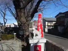 桜森稲荷神社の狛犬