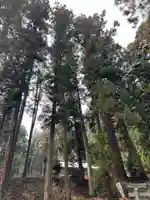 大宮温泉神社(栃木県)